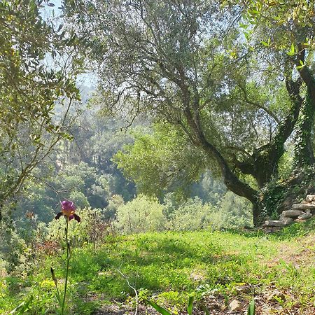 Casa Das Janelinhas - Cottage Near Sintra, Mafra, Ericeira エクステリア 写真