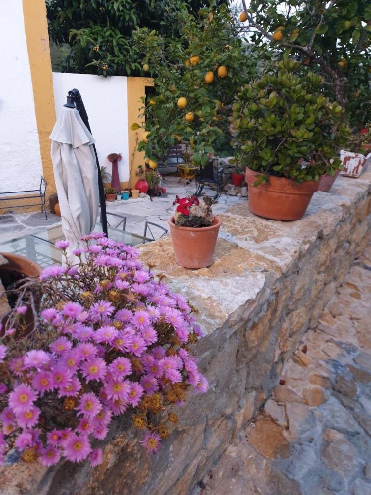 Casa Das Janelinhas - Cottage Near Sintra, Mafra, Ericeira エクステリア 写真