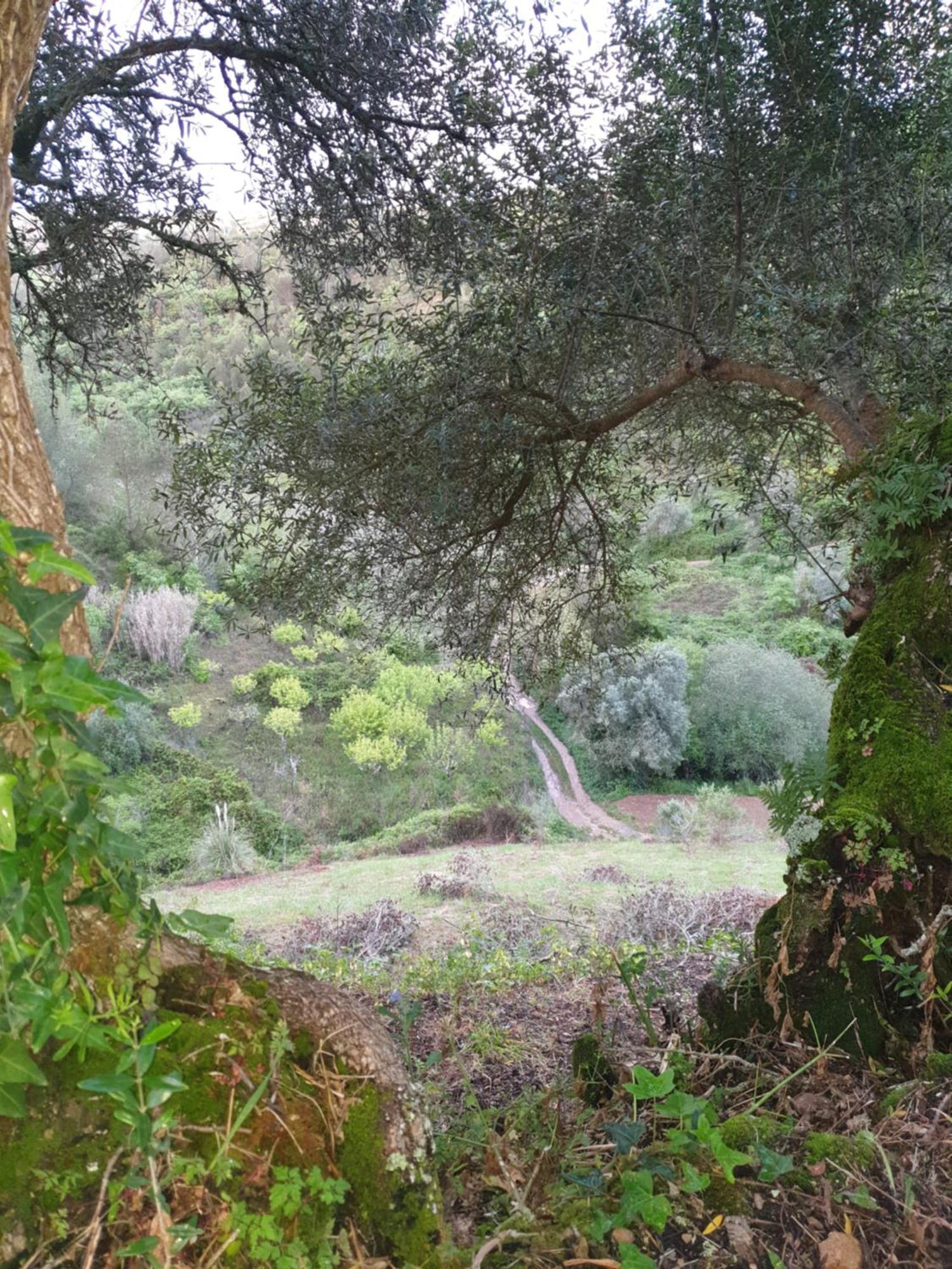 Casa Das Janelinhas - Cottage Near Sintra, Mafra, Ericeira エクステリア 写真