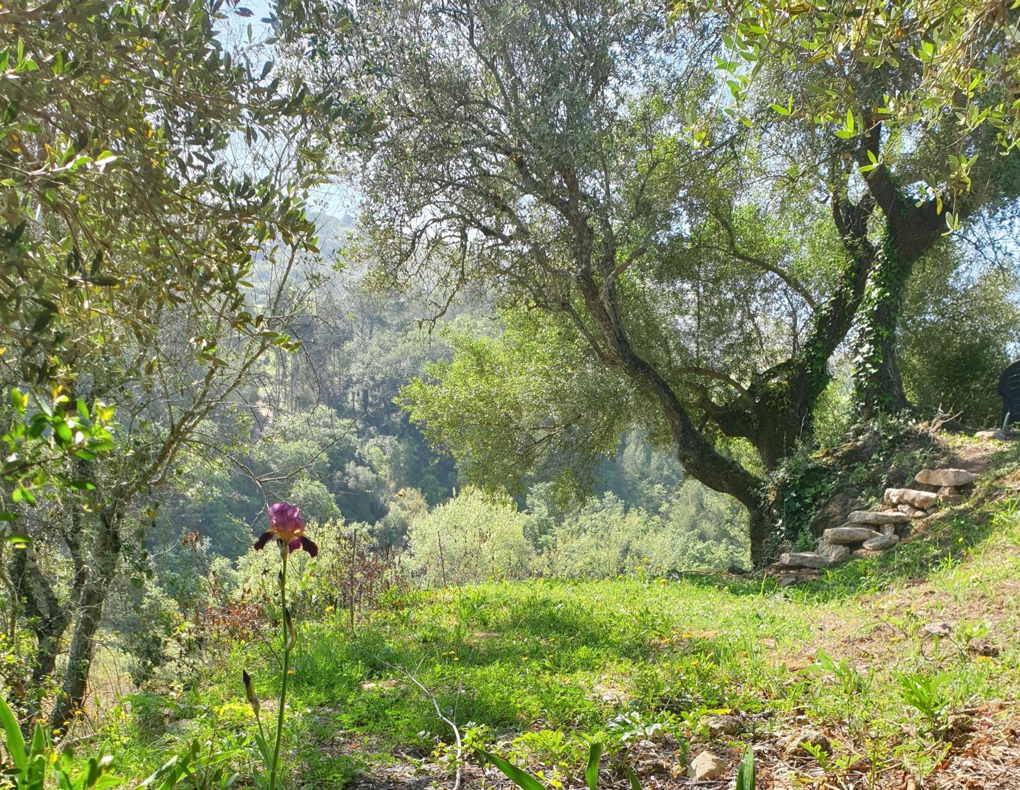 Casa Das Janelinhas - Cottage Near Sintra, Mafra, Ericeira エクステリア 写真