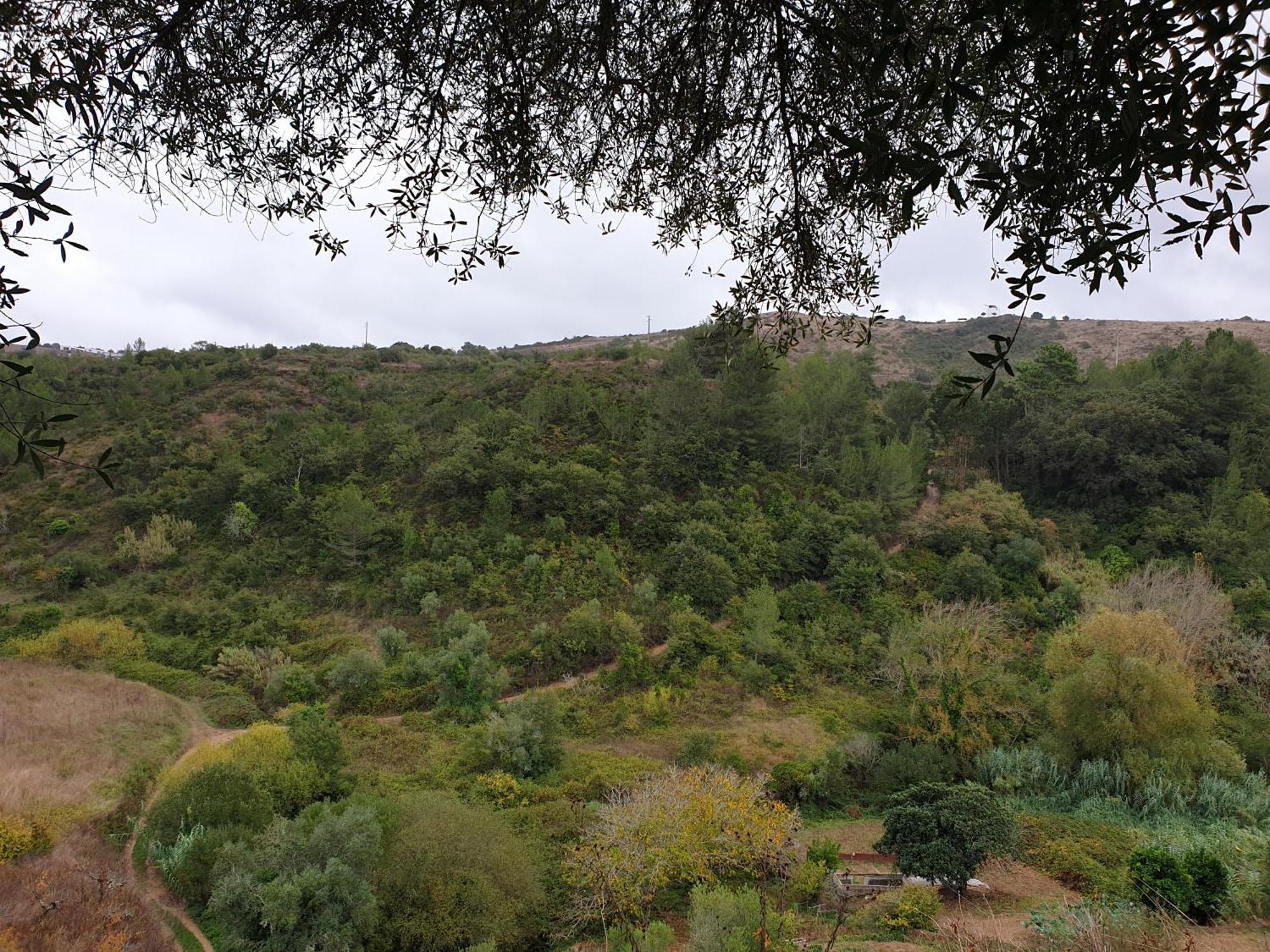 Casa Das Janelinhas - Cottage Near Sintra, Mafra, Ericeira エクステリア 写真